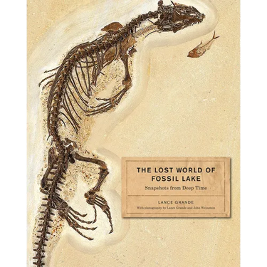 The Lost World of Fossil Lake: Snapshots from Deep Time