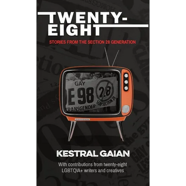 Twenty-Eight: Stories from the Section 28 Generation