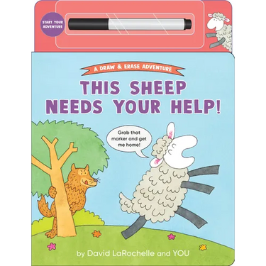 This Sheep Needs Your Help!