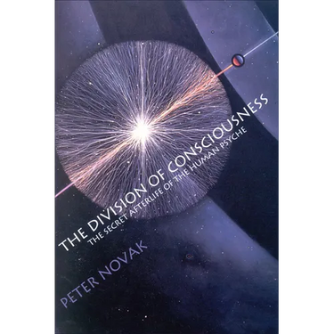 The Division of Consciousness: The Secret Afterlife of the Human Psyche: The Secret Afterlife of the Human Psyche
