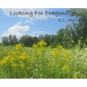 Looking For Dragonflies