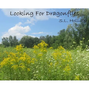 Looking For Dragonflies