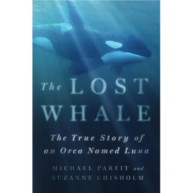 Lost Whale