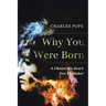 Why You Were Born: A Choice We Don't Get To Make!