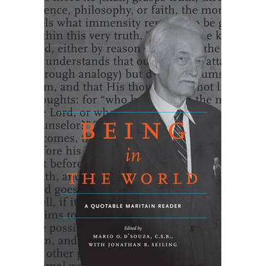 Being in the World