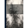 Studies Of Trees In Pencil And In Water Colors