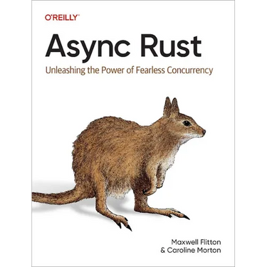 ASYNC Rust: Unleashing the Power of Fearless Concurrency