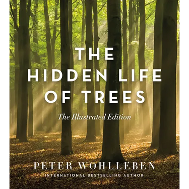 The Hidden Life of Trees: The Illustrated Edition