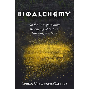Bioalchemy: On the Transformative Belonging of Nature, Humans, and Soul
