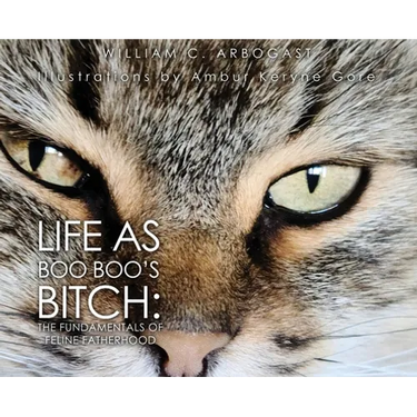 Life as Boo Boo's Bitch: The Fundamentals of Feline Fatherhood
