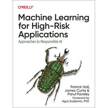 Machine Learning for High-Risk Applications: Approaches to Responsible AI