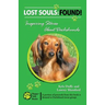 Lost Souls: FOUND! Inspiring Stories About Dachshunds