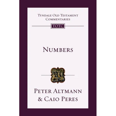 Numbers: An Introduction and Commentary Volume 4