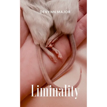 Liminality