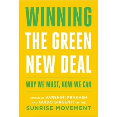 Winning the Green New Deal: Why We Must, How We Can