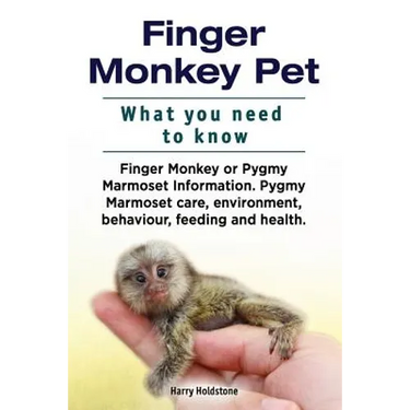 Finger Monkey Pet. WHAT YOU NEED TO KNOW. Finger Monkey or Pygmy Marmoset Information. Pygmy Marmoset care, environment, behaviour, feeding and health