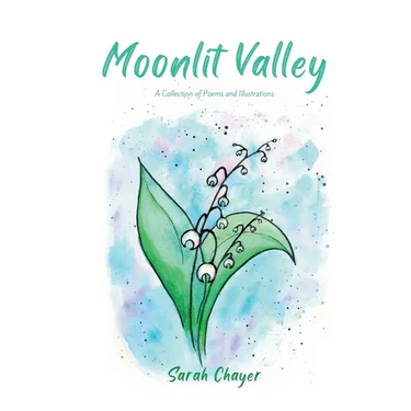 Moonlit Valley
