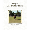 Magic One SMART Horse