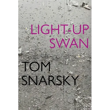 Light-Up Swan