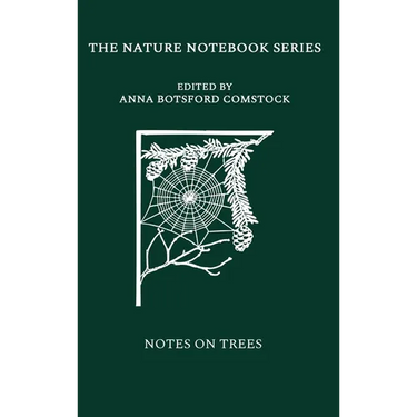 Notes on Trees