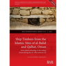Ship Timbers from the Islamic Sites of al-Balid and Qalhat, Oman: Sewn-plank technology in the Indian Ocean during the 10-16th centuries CE
