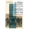 From Slavery to Agrarian Capitalism in the Cotton Plantation South: Central Georgia, 1800-1880