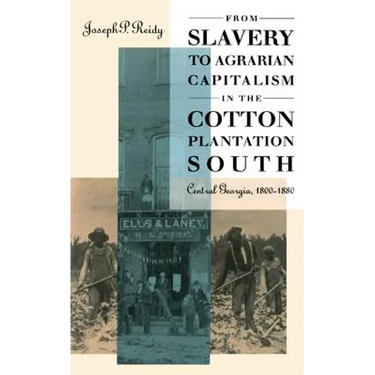 From Slavery to Agrarian Capitalism in the Cotton Plantation South: Central Georgia, 1800-1880