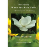 Not Only When The Rain Falls: Adventures in Awakening