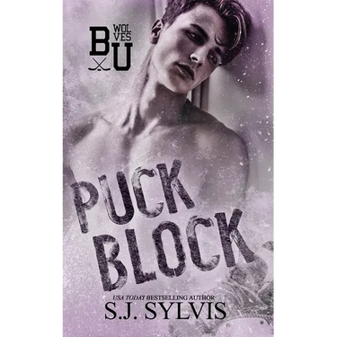 Puck Block: A Brother's Best Friend Hockey Romance