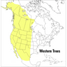 A Peterson Field Guide to Western Trees: Western United States and Canada