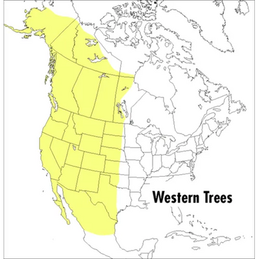 A Peterson Field Guide to Western Trees: Western United States and Canada