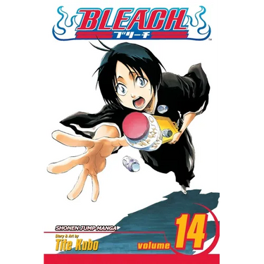 Bleach, Vol. 14