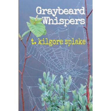Graybeard Whispers
