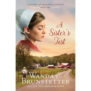A Sister's Test: Volume 2