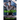 My Fair Master: Gay Submission Erotica
