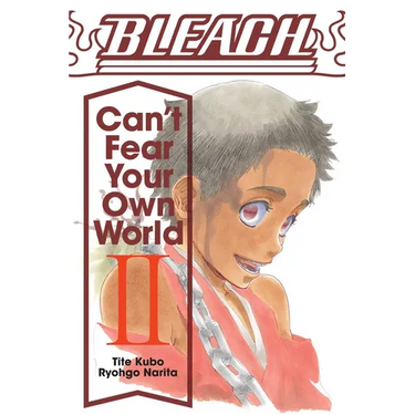 Bleach: Can't Fear Your Own World, Vol. 2