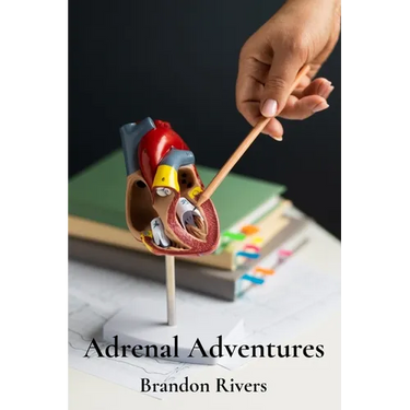 Adrenal Adventures: Exploring the Physiology and Function of the Adrenal Glands
