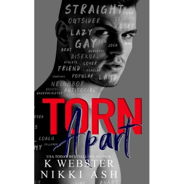 Torn Apart: a New Adult Why Choose Romance