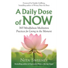 A Daily Dose of Now: 365 Mindfulness Meditation Practices for Living in the Moment