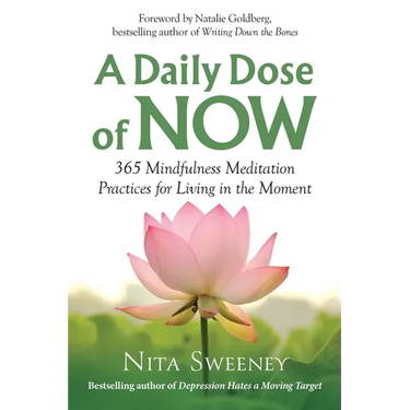 A Daily Dose of Now: 365 Mindfulness Meditation Practices for Living in the Moment