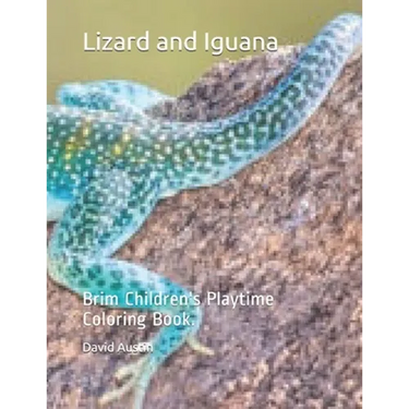 Lizard and Iguana: Brim Children's Playtime Coloring Book.