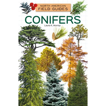 Conifers