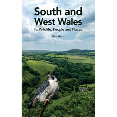 South and West Wales: Its Wildlife, People and Places