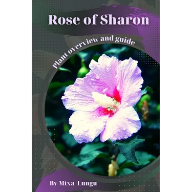 Rose of Sharon: Plant overview and guide
