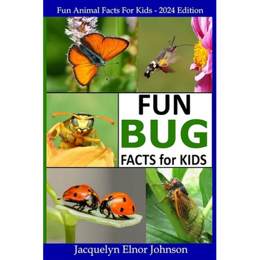 Fun Bug Facts for Kids