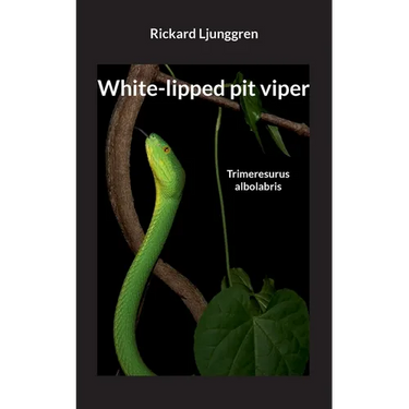 White-lipped pit viper: Trimeresurus albolabris