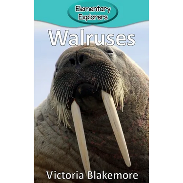 Walruses