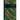 The Forest