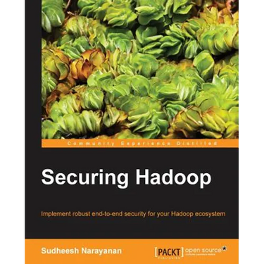 Securing Hadoop