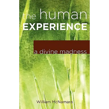 The Human Experience: A Divine Madness